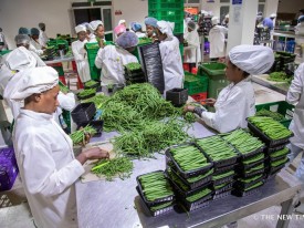 Rwanda exporta 972 toneladas de frutas e hort&iacute;colas em cinco dias - DR