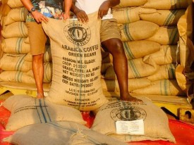 Ouro e caf&eacute; representam cerca de 70% das receitas de exporta&ccedil;&atilde;o do Uganda - DR