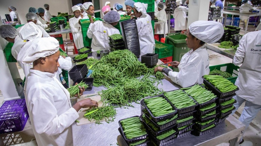 Rwanda exporta 972 toneladas de frutas e hort&iacute;colas em cinco dias