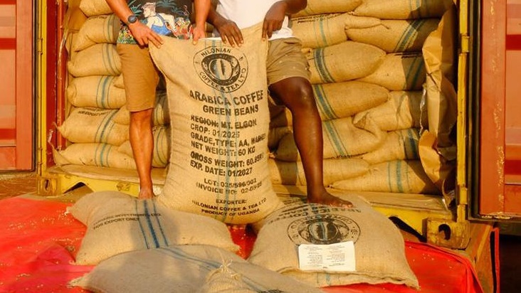 Ouro e caf&eacute; representam cerca de 70% das receitas de exporta&ccedil;&atilde;o do Uganda