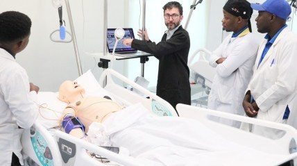 Ac&ccedil;&atilde;o formativa na &aacute;rea da enfermagem 