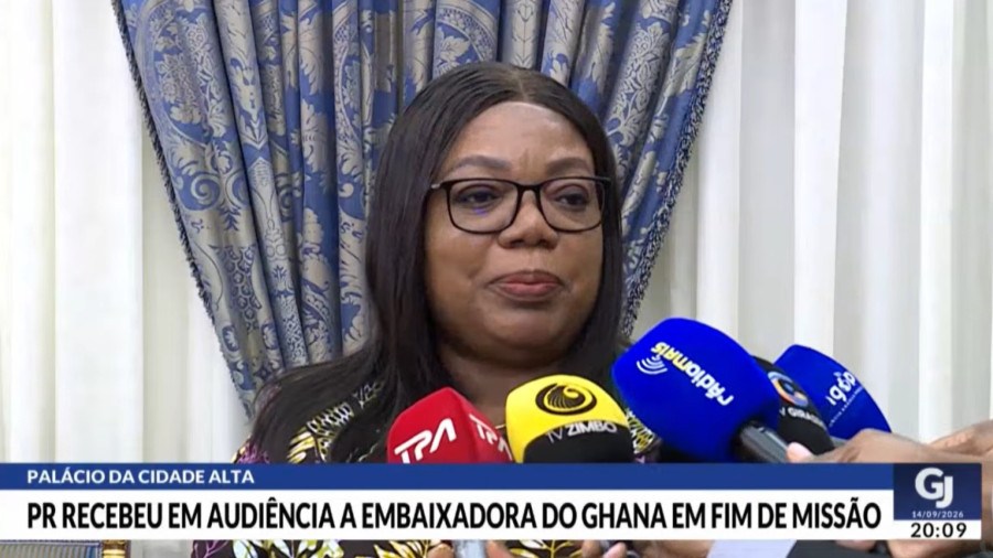 Rede Girassol