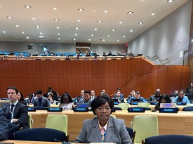 Representante permanente de Angola junto do Escrit&oacute;rio das Na&ccedil;&otilde;es Unidas e de Outras Organiza&ccedil;&otilde;es Internacionais em Viena (A&uacute;stria), Isabel de Jesus Godinho - MIREX