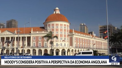 Rede Girassol