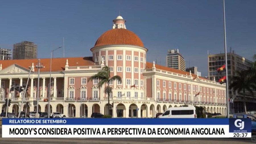 Rede Girassol