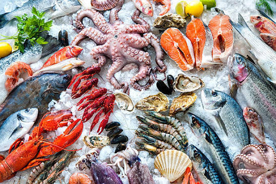 Produtos do mar