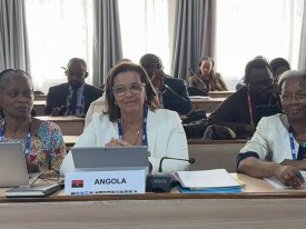 Deputados &agrave; Assembleia Nacional participam em Arusha, Tanz&acirc;nia, na reuni&atilde;o do Subgrupo Geopol&iacute;tico da SADC preparat&oacute;ria da Assembleia da UIP - Assembleia Nacional