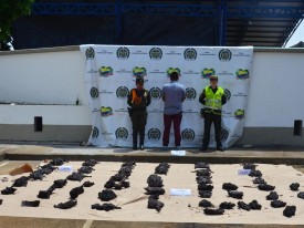 Interpol det&eacute;m 233 pessoas numa opera&ccedil;&atilde;o contra crimes ambientais - DR