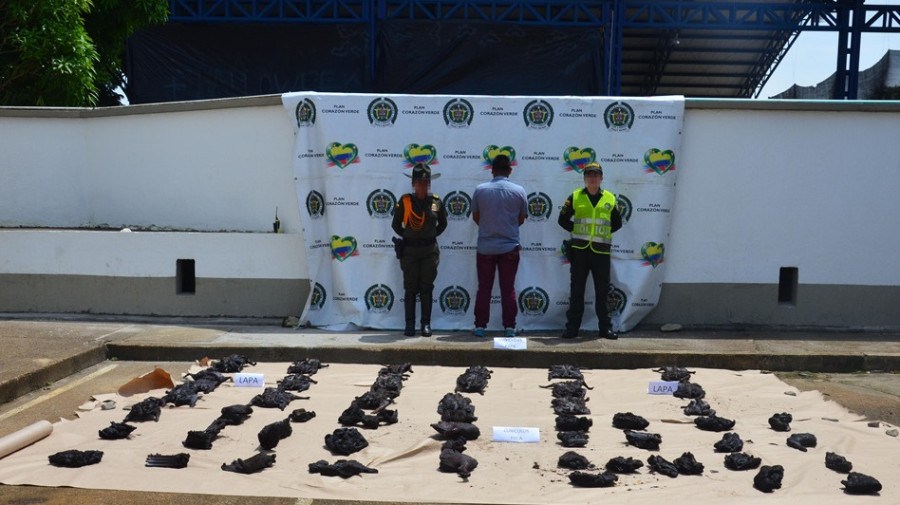 Interpol det&eacute;m 233 pessoas numa opera&ccedil;&atilde;o contra crimes ambientais