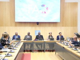 Angola apresenta candidatura de Josefa Sacko na FAO - DR