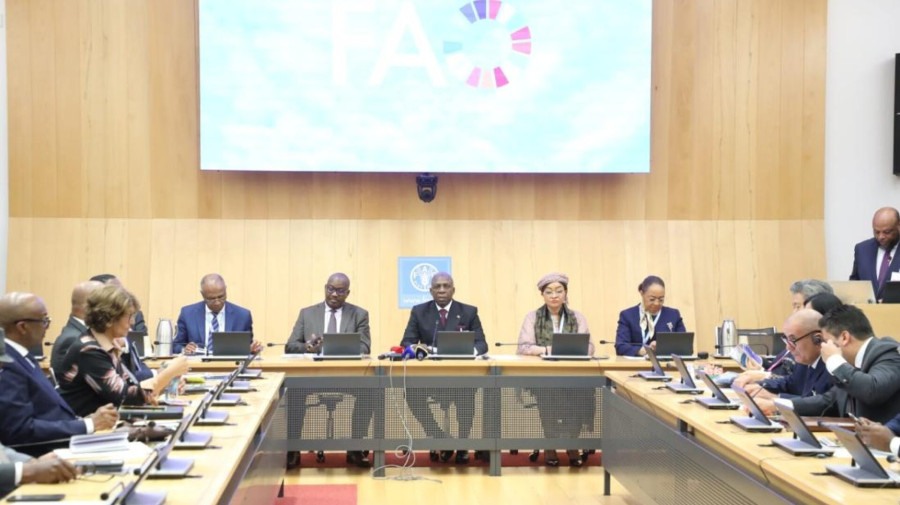 Angola apresenta candidatura de Josefa Sacko na FAO