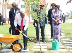 Presidente da Rep&uacute;blica, Jo&atilde;o Louren&ccedil;o, planta uma &aacute;rvore num dos jardins da Assembleia Nacional de Angola, em Outubro de 2026 - DR