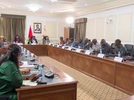 Reuni&atilde;o da comiss&atilde;o de trabalho de especializa&ccedil;&atilde;o da Assembleia Nacional  - DR
