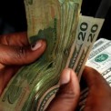 Zimbabwe espera aumento das remessas da di&aacute;spora