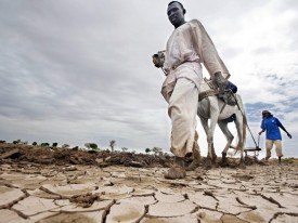 Sud&atilde;o enfrenta agravamento da fome devido &agrave; seca e &agrave; guerra - DR