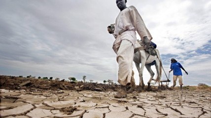 Sud&atilde;o enfrenta agravamento da fome devido &agrave; seca e &agrave; guerra