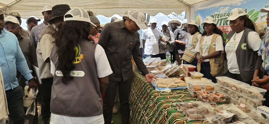 Ministro de Estado para a Coordena&ccedil;&atilde;o Econ&oacute;mica, Jos&eacute; de Lima Massano, visita produtos expostos no lan&ccedil;amento do Ano Agr&iacute;cola 2026-2027, no Cunene