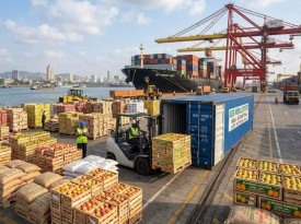 OMC melhora perspectivas do com&eacute;rcio mundial de mercadorias - DR